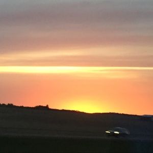 Meet your Posher, Hailey